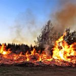 Vermeidung von Waldbränden - 5 einfache Verhaltensregeln