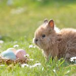 Einladung zum GAM Osterbastelkurs