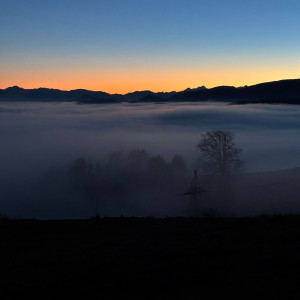 Bernhard Moser_10 Bernhard Moser_10