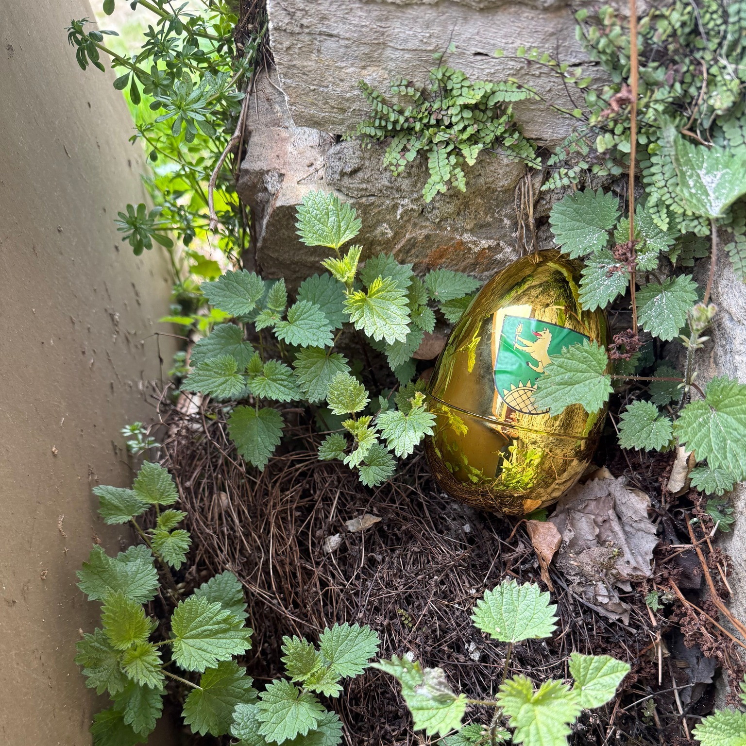 655759930_991595520075701_3998980027571115910_n.jpg 655759930_991595520075701_3998980027571115910_n.jpg