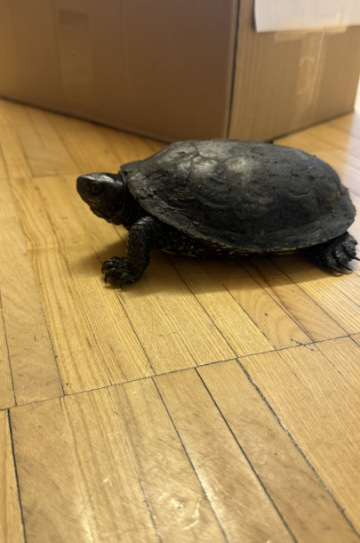 IMG_4705.jpg IMG_4705.jpg