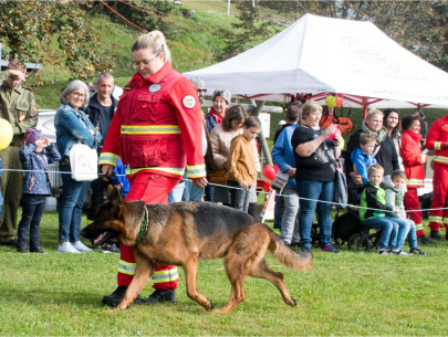 Si Tag Österr. Rettungshundebrigade (Foto ZSV, frei) Si Tag Österr. Rettungshundebrigade (Foto ZSV, frei)